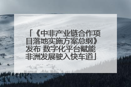 《中非产业链合作项目落地实施方案总纲》发布 数字化平台赋能非洲发展驶入快车道