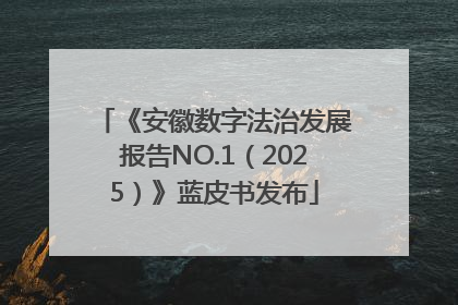 《安徽数字法治发展报告NO.1（2025）》蓝皮书发布