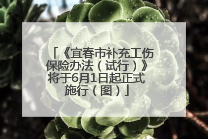 《宜春市补充工伤保险办法（试行）》将于6月1日起正式施行（图）