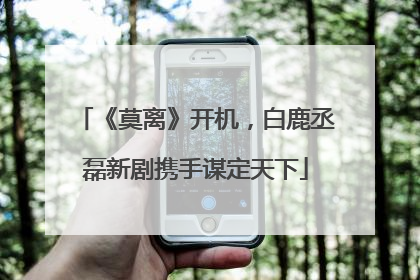 《莫离》开机，白鹿丞磊新剧携手谋定天下