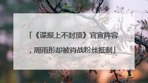 《谍报上不封顶》官宣阵容，周雨彤却被肖战粉丝抵制