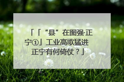 「“县”在图强·正宁①」工业高歌猛进 正宁有何倚仗？