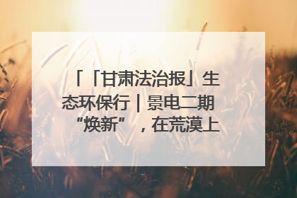 「甘肃法治报」生态环保行｜景电二期“焕新”，在荒漠上筑起一道绿色长城