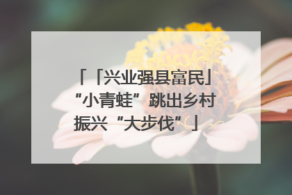 「兴业强县富民」“小青蛙”跳出乡村振兴“大步伐”