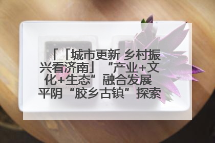 「城市更新 乡村振兴看济南」“产业+文化+生态”融合发展 平阴“胶乡古镇”探索振兴路径成效显著