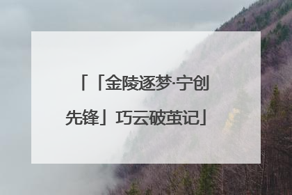 「金陵逐梦·宁创先锋」巧云破茧记