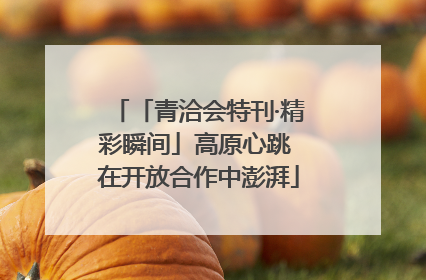 「青洽会特刊·精彩瞬间」高原心跳 在开放合作中澎湃
