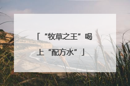 “牧草之王”喝上“配方水”