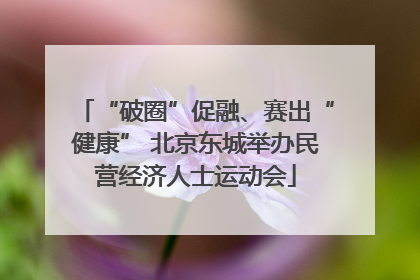 “破圈”促融、赛出“健康” 北京东城举办民营经济人士运动会