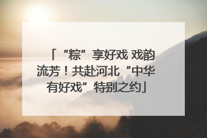 “粽”享好戏 戏韵流芳！共赴河北“中华有好戏”特别之约