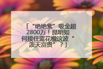 “绝绝紫”吸金超2800万！昆明如何接住蓝花楹这波“泼天富贵”？