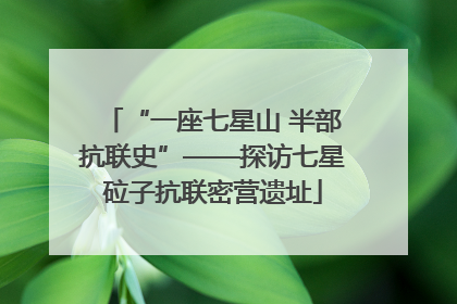 “一座七星山 半部抗联史”——探访七星砬子抗联密营遗址