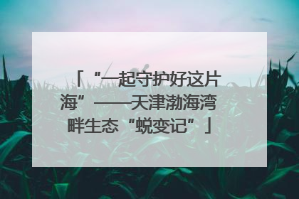 “一起守护好这片海”——天津渤海湾畔生态“蜕变记”