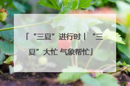 “三夏”进行时丨“三夏”大忙 气象帮忙
