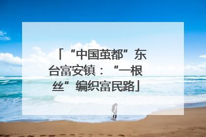 “中国茧都”东台富安镇：“一根丝”编织富民路