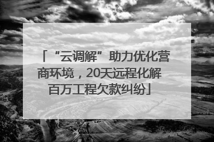 “云调解”助力优化营商环境，20天远程化解百万工程欠款纠纷