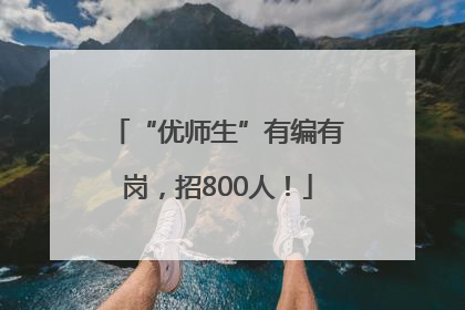 “优师生”有编有岗，招800人！