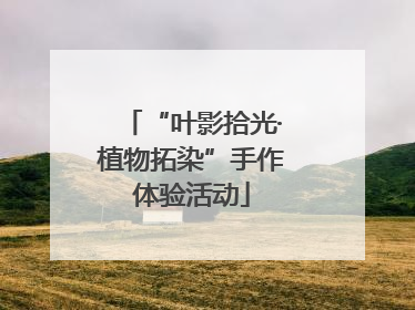 “叶影拾光·植物拓染”手作体验活动