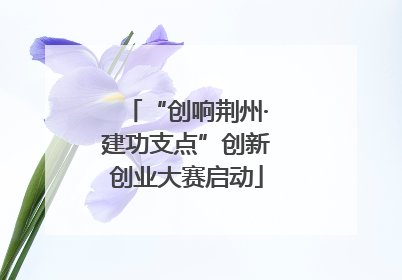“创响荆州·建功支点”创新创业大赛启动