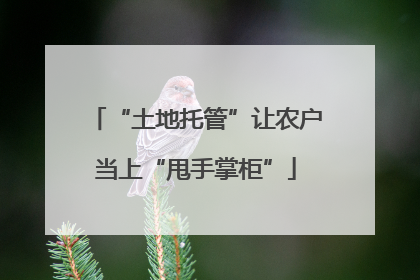 “土地托管”让农户当上“甩手掌柜”