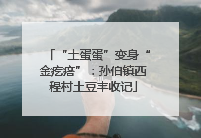 “土蛋蛋”变身“金疙瘩”：孙伯镇西程村土豆丰收记