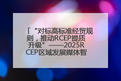 “对标高标准经贸规则，推动RCEP提质升级”——2025RCEP区域发展媒体智库论坛举行专题对话