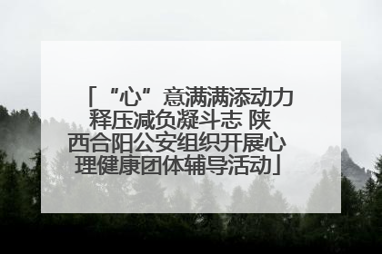 “心”意满满添动力 释压减负凝斗志 陕西合阳公安组织开展心理健康团体辅导活动