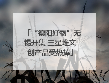“德阳好物”无锡开集 三星堆文创产品受热捧