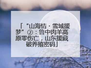 “山海情・雪域援梦”②：鲁中肉羊高原零伤亡，山东援藏破养殖密码
