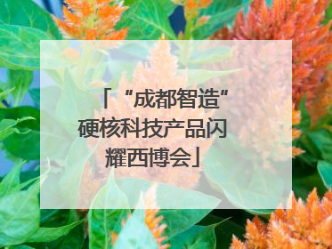 “成都智造”硬核科技产品闪耀西博会