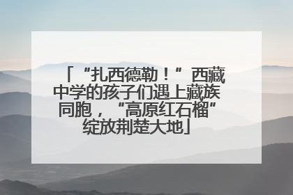 “扎西德勒！”西藏中学的孩子们遇上藏族同胞，“高原红石榴”绽放荆楚大地