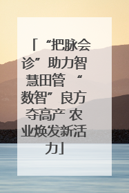 “把脉会诊”助力智慧田管 “数智”良方夺高产 农业焕发新活力