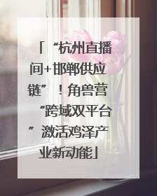 “杭州直播间+邯郸供应链”！角兽营“跨域双平台”激活鸡泽产业新动能