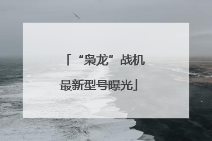 “枭龙”战机最新型号曝光