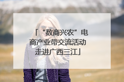 “数商兴农”电商产业带交流活动走进广西三江