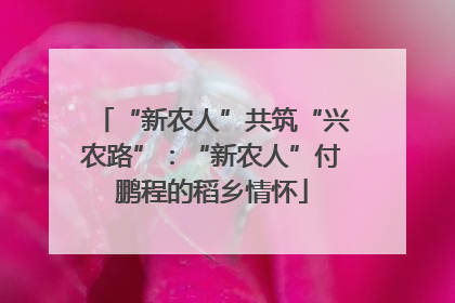 “新农人”共筑“兴农路”：“新农人”付鹏程的稻乡情怀