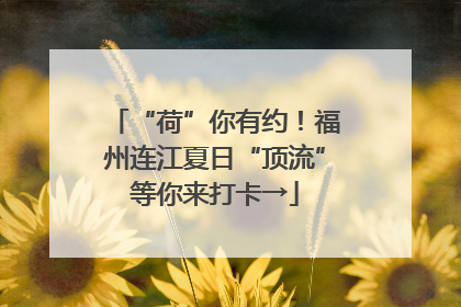 “荷”你有约！福州连江夏日“顶流”等你来打卡→