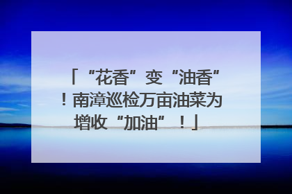 “花香”变“油香”！南漳巡检万亩油菜为增收“加油”！