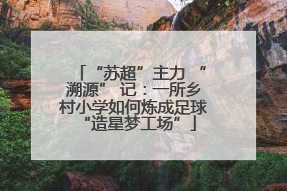 “苏超”主力 “溯源” 记：一所乡村小学如何炼成足球 “造星梦工场”