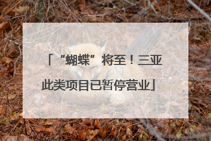 “蝴蝶”将至！三亚此类项目已暂停营业