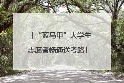 “蓝马甲”大学生志愿者畅通送考路