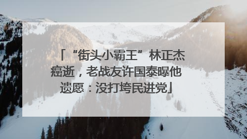 “街头小霸王”林正杰癌逝，老战友许国泰曝他遗愿：没打垮民进党