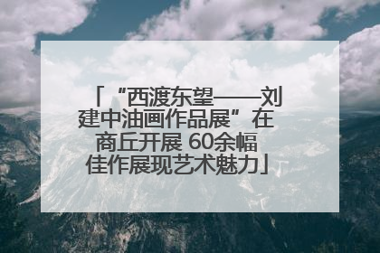 “西渡东望——刘建中油画作品展”在商丘开展 60余幅佳作展现艺术魅力