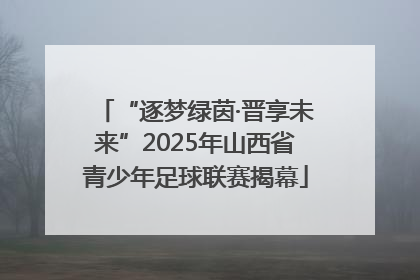 “逐梦绿茵·晋享未来”2025年山西省青少年足球联赛揭幕