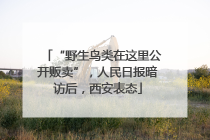 “野生鸟类在这里公开贩卖”，人民日报暗访后，西安表态
