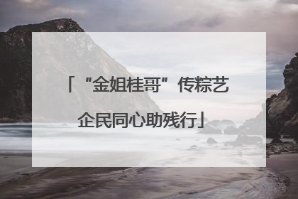“金姐桂哥”传粽艺 企民同心助残行