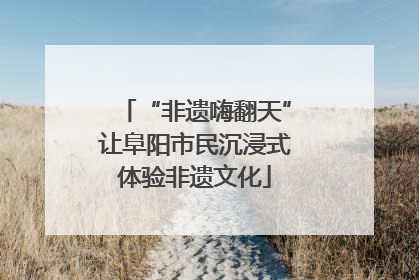 “非遗嗨翻天”让阜阳市民沉浸式体验非遗文化