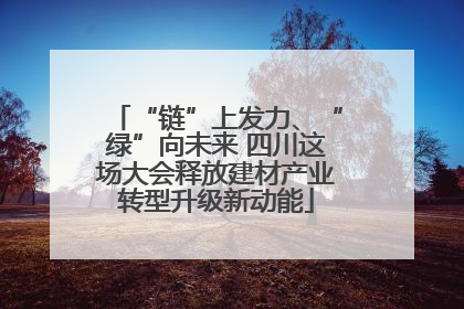“链”上发力、“绿”向未来 四川这场大会释放建材产业转型升级新动能