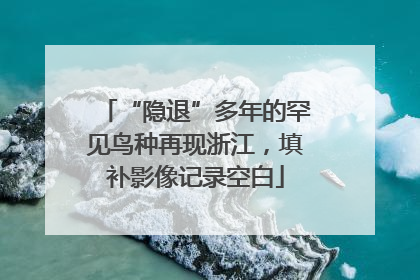 “隐退”多年的罕见鸟种再现浙江，填补影像记录空白