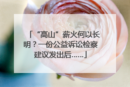 “高山”薪火何以长明？一份公益诉讼检察建议发出后……